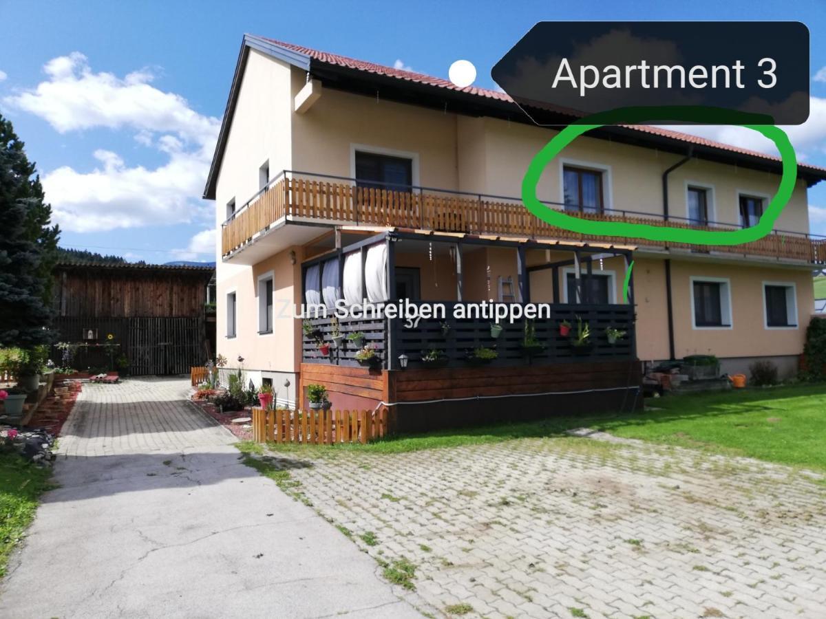 Haus Petra Apartment Neumarkt in Steiermark Exterior photo